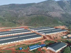 工程案例 